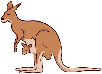 Kangaroo Baby Ear Tail Leg - Kangaroo Illustration Png