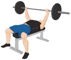 Exercise Free HQ Image - Free PNG