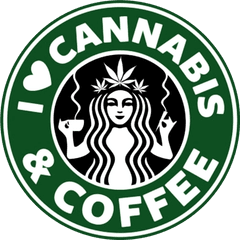 Homer Glen Coffee Starbucks Logo Cafe - Starbucks Logo Buzz Png