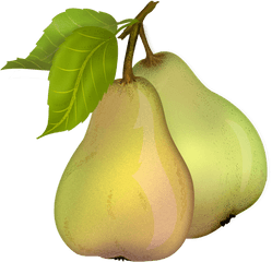 Pear Free Download Png - Pear Clipart Transparent Background