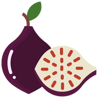 Vector Fig PNG Download Free