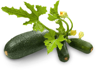 Download Zucchini Png Image With No - Zucchini