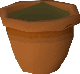 Orange Seedling - Flowerpot Png