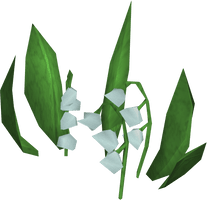 Lily Of The Valley Transparent - Free PNG