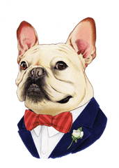 French Bulldog - Berkley Illustration Png