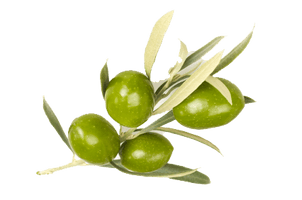 Olive Image - Free PNG