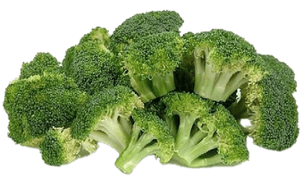 Green Broccoli PNG Free Photo