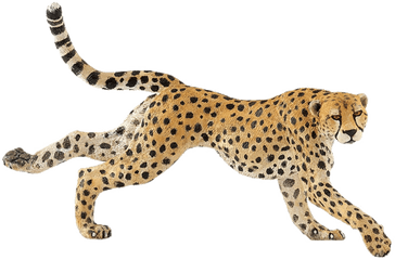 Running Cheetah Png Free Download - Cheetah Running Png