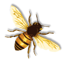 Bee Png 5