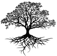 Tree With Long Roots Transparent Png - Oak Tree Tattoo