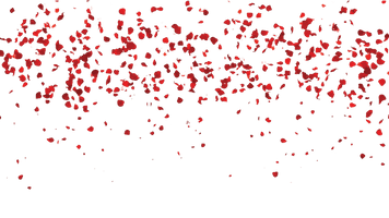 Falling Petals Image Free Download PNG HQ