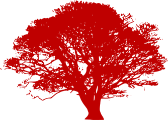 Download Red Tree Silhouette Png - Tree Black And White Vector