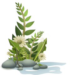 Flower - Plants Clipart Png