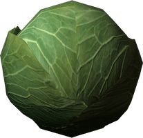 Cabbage With Transparent Background - Free PNG