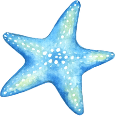 Starfish Blue Star Stickers Sticker Png Logo