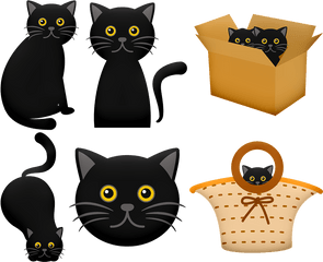 Halloween Black Cat In Box - Free Image On Pixabay Black Cat Face Clipart Png