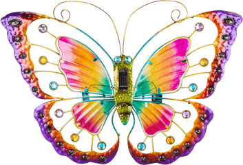 Colorful Butterfly Png Free Image Download