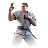 Karate Fighter Male Judo PNG Image High Quality