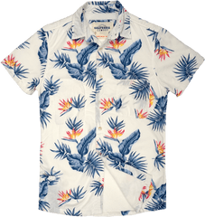 Hawaiian Shirt Png - Transparent Background Hawaiian Shirt Clipart