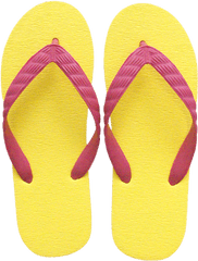 Download Beach Sandals Png Image - Beach Sandals Png