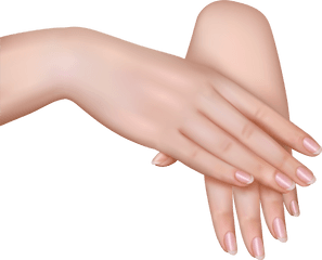 Woman Hand Transparent U0026 Png Clipart Free Download - Ywd Girl Hands Png