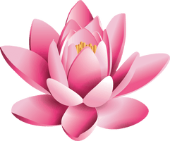 Pink Lotus Flower Pic Free Photo - Free PNG