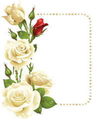 Floral Border Design - White Roses Border Png