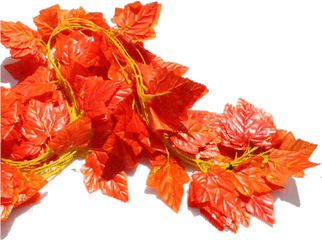 Download Su Shi Rattan Wall Hanging Fake Flower Vine - Flower Png