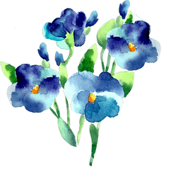 Transparent Blue Flower Vector Png - Vector Blue Watercolor Flowers