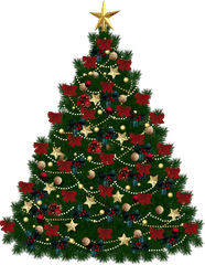 Png - Christmas Tree Without Background