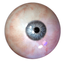 Human Eye Clipart - Free PNG