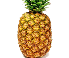 Pineapple Png Image