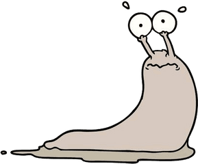 Slug Png - Slug Clipart