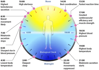 00 Am - Negative Effects Of Daylight Savings Time Png