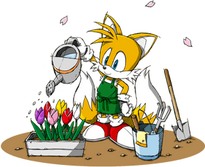 Download Image Sonic Miles Tails Prower Png News - Sonic Tails From Sonic X