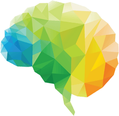 Polygon Human Download Hd Png - Brain Clipart Transparent Background