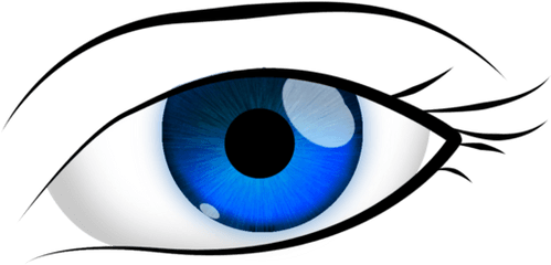 Brown Eye Png Download Free Clip Art Blue