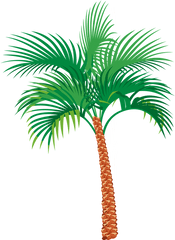 Palm Tree Graphics - Date Palm Vector Png Transparent Vector Date Tree Png