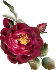 Download Png De OrnamentaÃ§Ã£o Cor Rosa Vermelha - Vintage Flor Vermelha Png