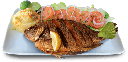 Fish Crunchy Fried HQ Image Free - Free PNG