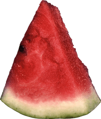Watermelon Png Picture Clipart