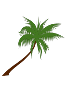 Coconut Tree Free Download - Free PNG