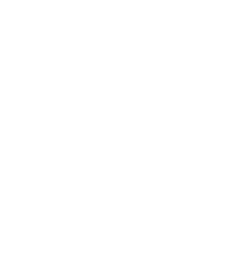 Cropped - Lionlogo512x512png Nextgen Marketing Empty