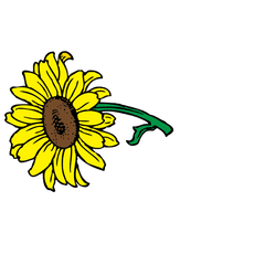 Sunflower Clip Art - Clip Art Png