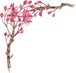 Elegante Pintado A Mano Plum Tree Branches Png Transparente - Png Elegante