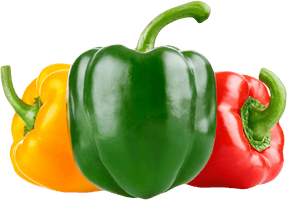 Capsicum Pepper Bell PNG Image High Quality