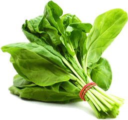 Spinach Png High Quality Image - Palak Vegetable Name In English