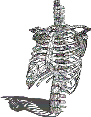 Transparent Skeleton Gif - Skeleton Gifs Transparent Png