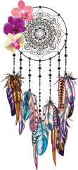 Download Wall Sticker Dreamcatcher Decal Orchids Free Hq - Orchid Dream Catcher Tattoo Png