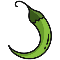 Chili Vector Green Pepper PNG Download Free